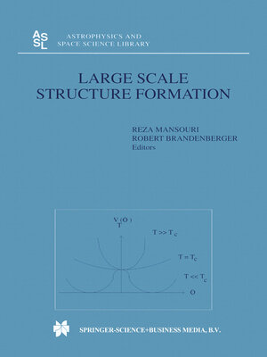 cover image of Large Scale Structure Formation